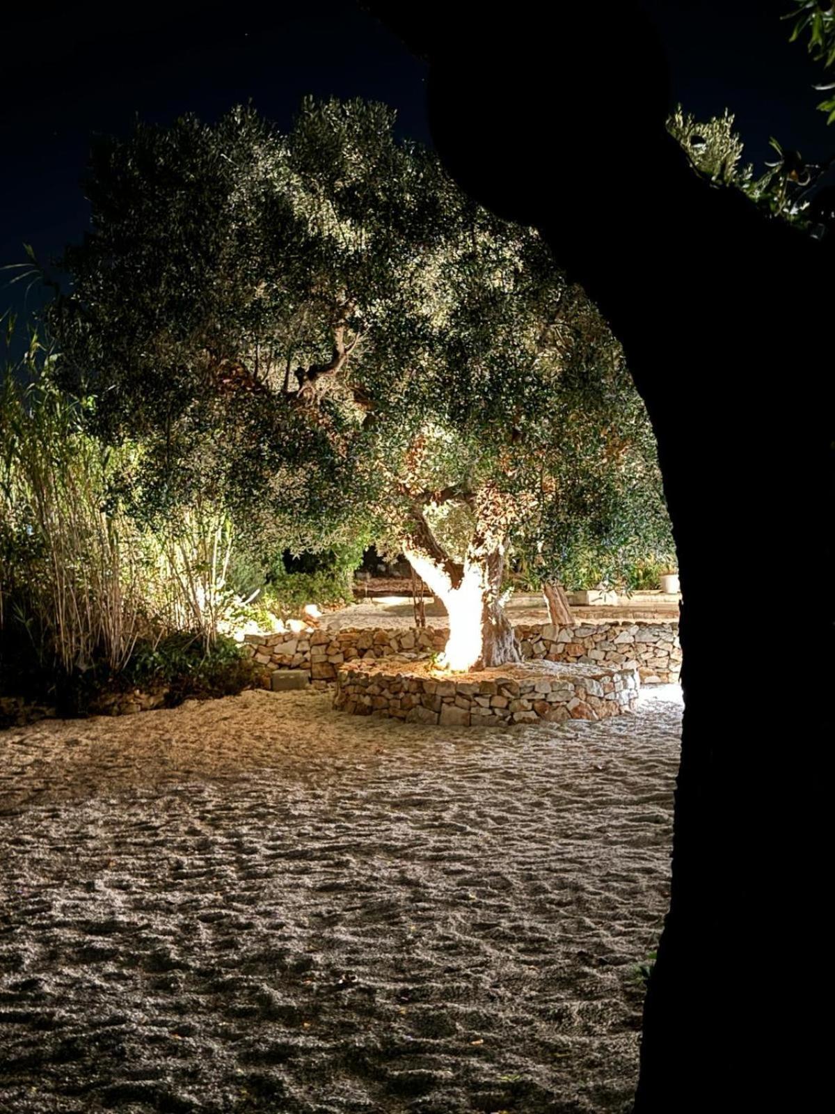 Trulli In Contrada - Monopoli Guest House ภายนอก รูปภาพ